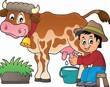 Image result for Cow Farmer