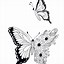 Image result for Butterflies Coloring Pages