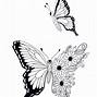 Image result for Butterfly Template Full Page Coloring
