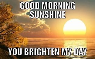 Image result for Need Sun Meme