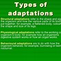 Image result for Echidna Adaptations