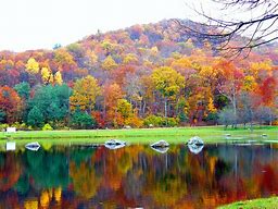 Image result for Cottage Beautiful Fall Scenery