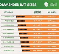 Image result for Cricket Bat Profiles