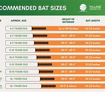 Image result for Cricket Bat Profiles