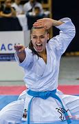 Image result for Martial Arts Fighting