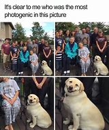 Image result for Zawg and Dawg Meme