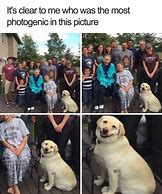 Image result for Doggo Memes