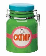 Image result for Catnip Jar