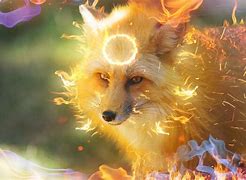 Image result for FireFox Animal