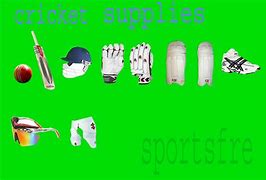Image result for Cricket Kit Accessories