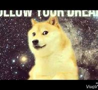 Image result for Follow Your Dreams Doge