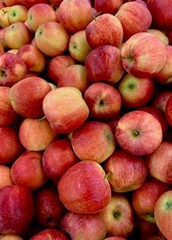 Image result for Apple Fruit Wallpapers