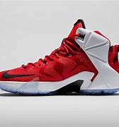 Image result for LeBron 12s Heat