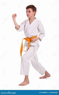Image result for Little Boy Karate