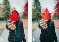 Image result for iPhone 11 Camera Photo Samples