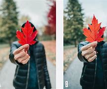 Image result for Nice Camera vs iPhone