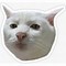 Image result for Gato Meme Sticker