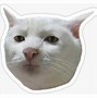 Image result for Cat Meme Banner