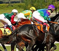 Image result for Race Horse Nation