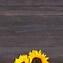 Image result for Rustic Flower Field