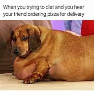 Image result for Fat Dog Pizza Meme