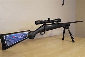 Image result for Ruger American Rifle