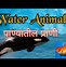 Image result for Sea Animals in Hindi