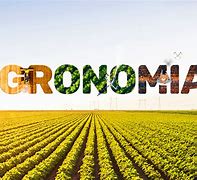 Image result for agronok�a