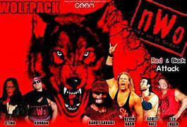 Image result for NWO Wolfpack DVD