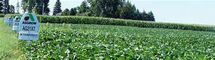 Image result for agroundustrial