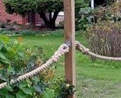 Image result for Stanchion Rope Eyes