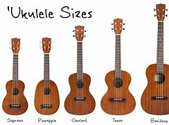Image result for Ukulele Sizes