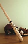 Image result for Small Baseball Bat