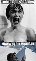 Image result for Meanwhile in Michigan Meme
