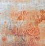 Image result for Rusty Red