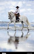 Image result for Andalusian Horse Beach