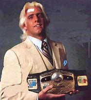 Image result for Ric Flair Champion