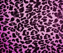 Image result for Hot Pink Leopard Print Wallpaper