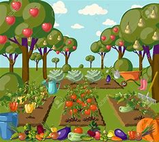 Image result for Fruit Garden Clip Art