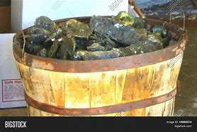 Image result for Bushel of Oysters