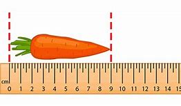 Image result for How Much Is 1 Centimeter