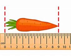 Image result for 1 Centimeter Objects