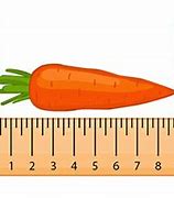 Image result for Things Commonly Measured in Centimeters