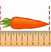 Image result for Things That Are Measuered in Centimeters