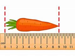 Image result for Objects That Are a Centimeter