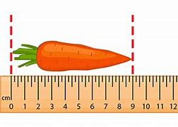 Image result for Things Commonly Measured in Centimeters