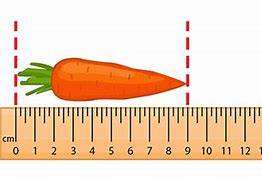 Image result for How Long Is 50 Centimeters