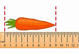 Image result for What Is 1 Centimeter