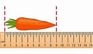 Image result for Objects to Measure in Centimeters