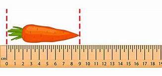 Image result for Example of a Centimeter Long Thing